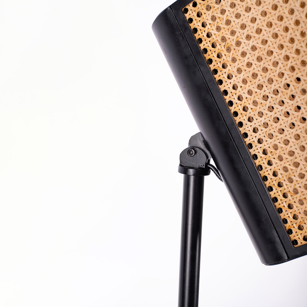 Reeding Floor Lamp